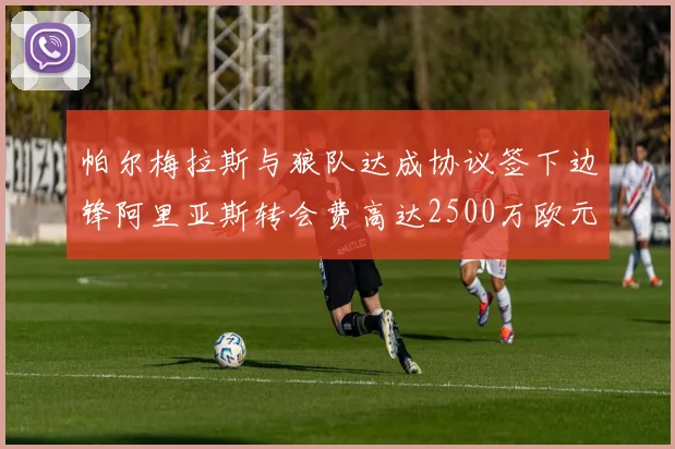 帕尔梅拉斯与狼队达成协议签下边锋阿里亚斯转会费高达2500万欧元